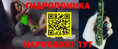 ешки Моздок