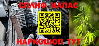 кокс Можга