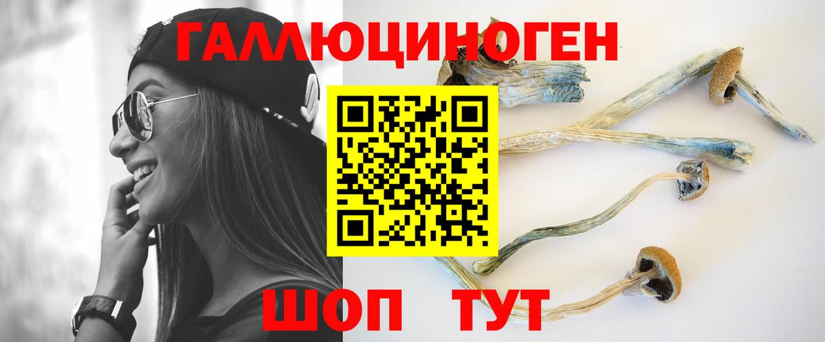 Псилоцибиновые грибы Cubensis  Псилоцибиновые грибы ЛСД  Вход с VPN  Тара 